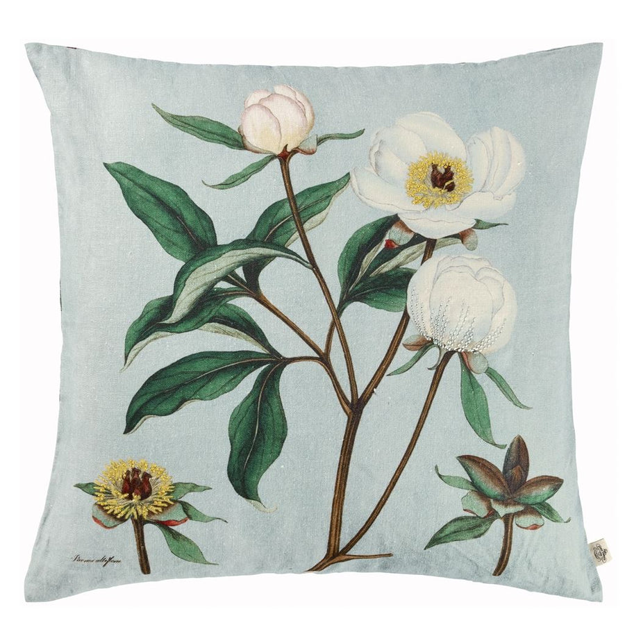 Paeonia Albiflora Celadon Cushion
