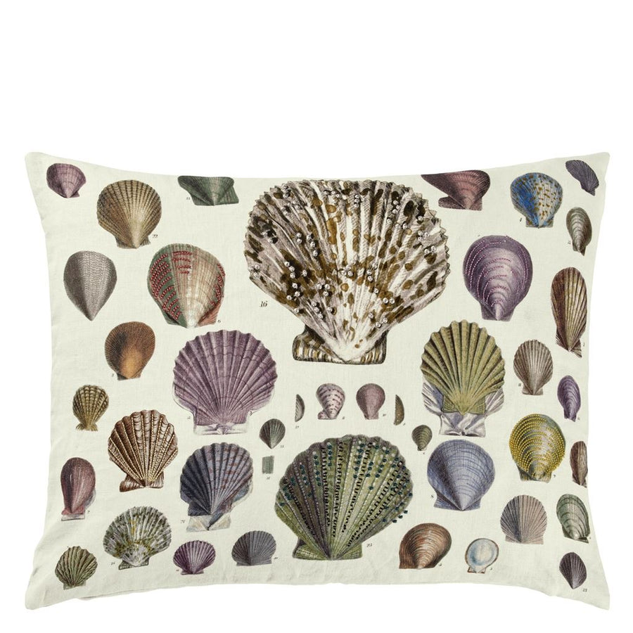 Captain Thomas Brown's Shells Oyster Cushion