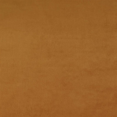 Dennise - Spice
