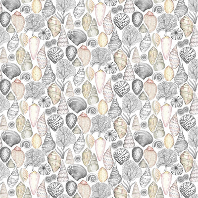 Shell Bay Outdoor - Natural