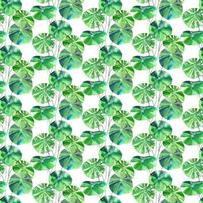 Brahmi Outdoor - Leaf
