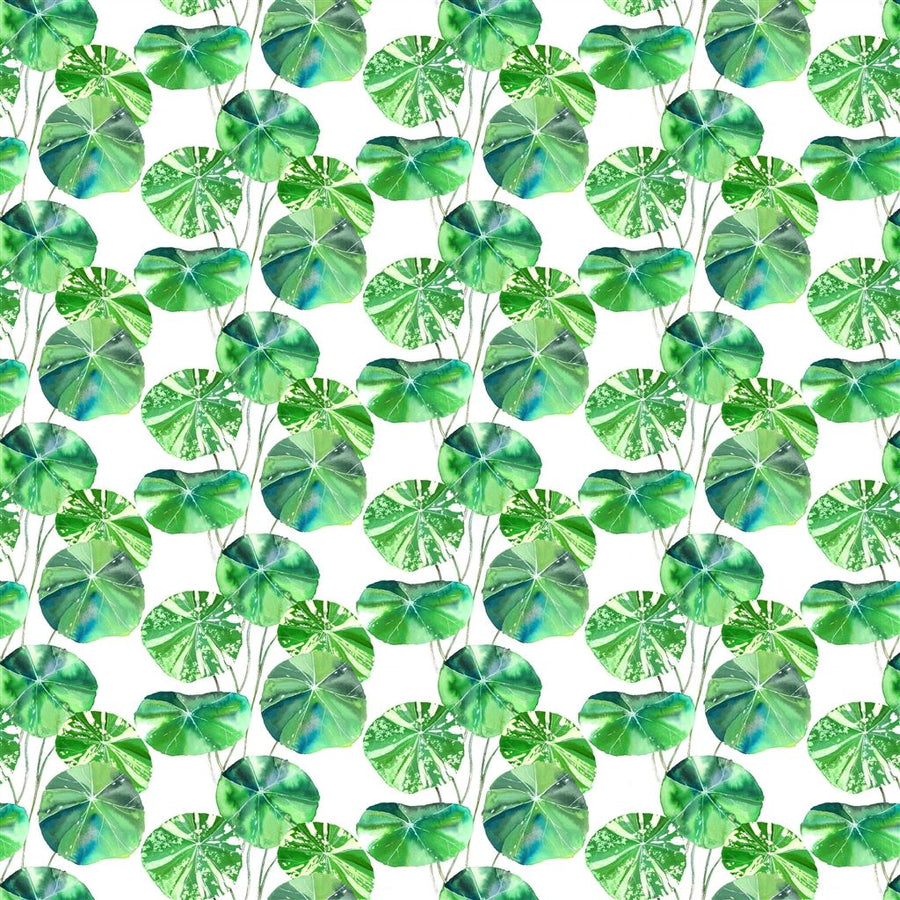 Brahmi Outdoor - Leaf