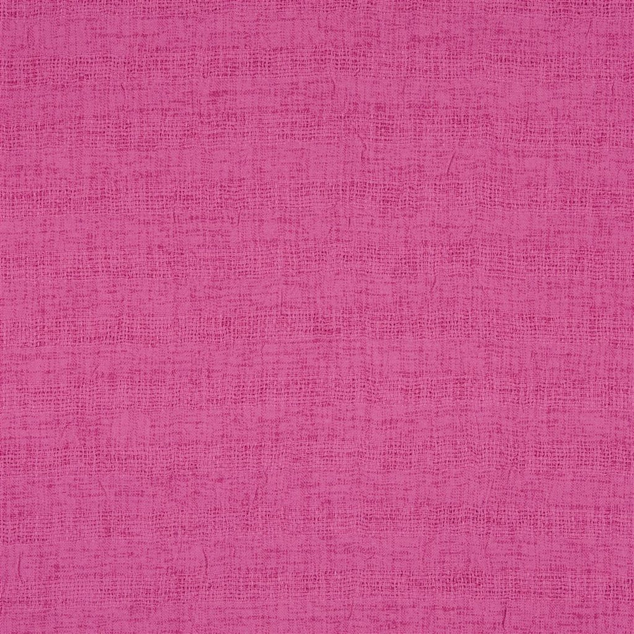 Caplina - Fuchsia (dg)