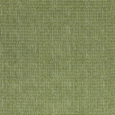 Pompano Outdoor - Grass