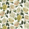 Camellia Folly - Parchment