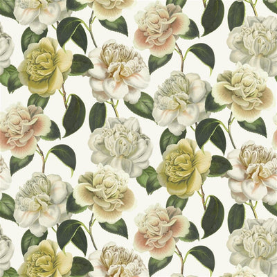 Camellia Folly - Parchment