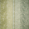 La Rotonda - Olive