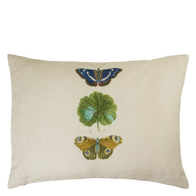 John Derian A Leaf And Butterfly Study Linen Cushion