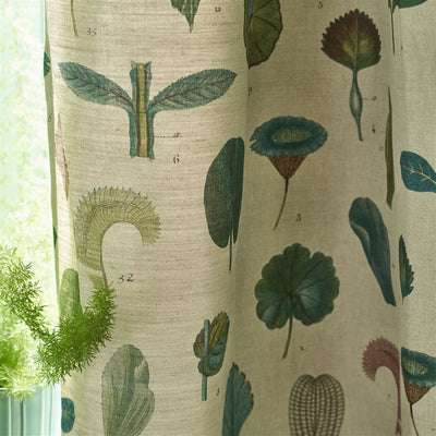 John Derian A Leaf Study Linen