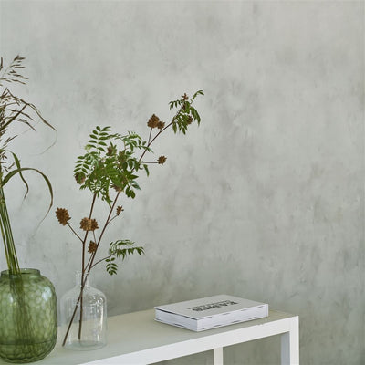 Designers Guild Tourangelle Ombre Zinc