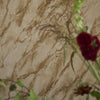 Designers Guild Carrara Grande Bronze