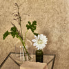 Designers Guild Fresco Bronze