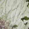 Designers Guild Carrara Grande Eau De Nil