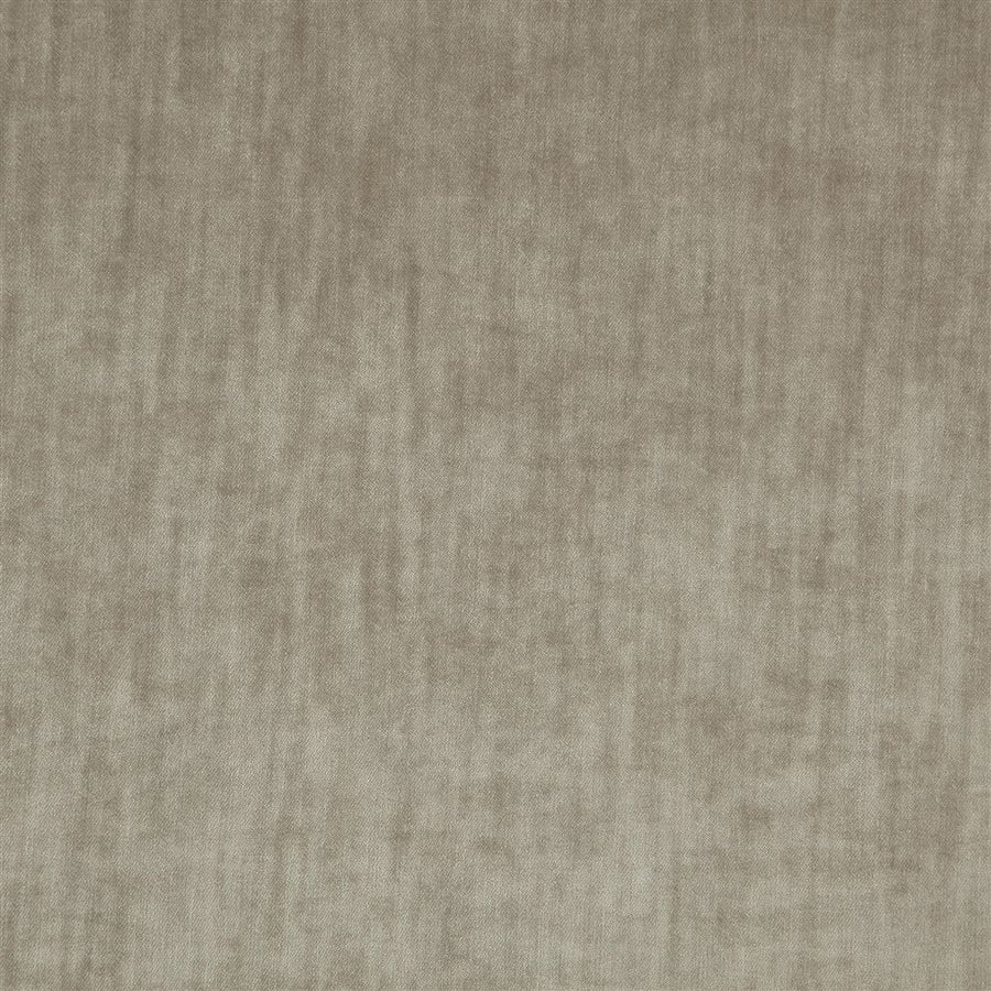 Opera - Silver Birch