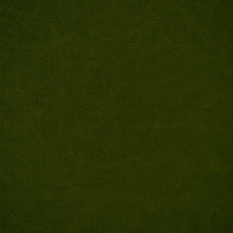 Matara Lucida - Olive