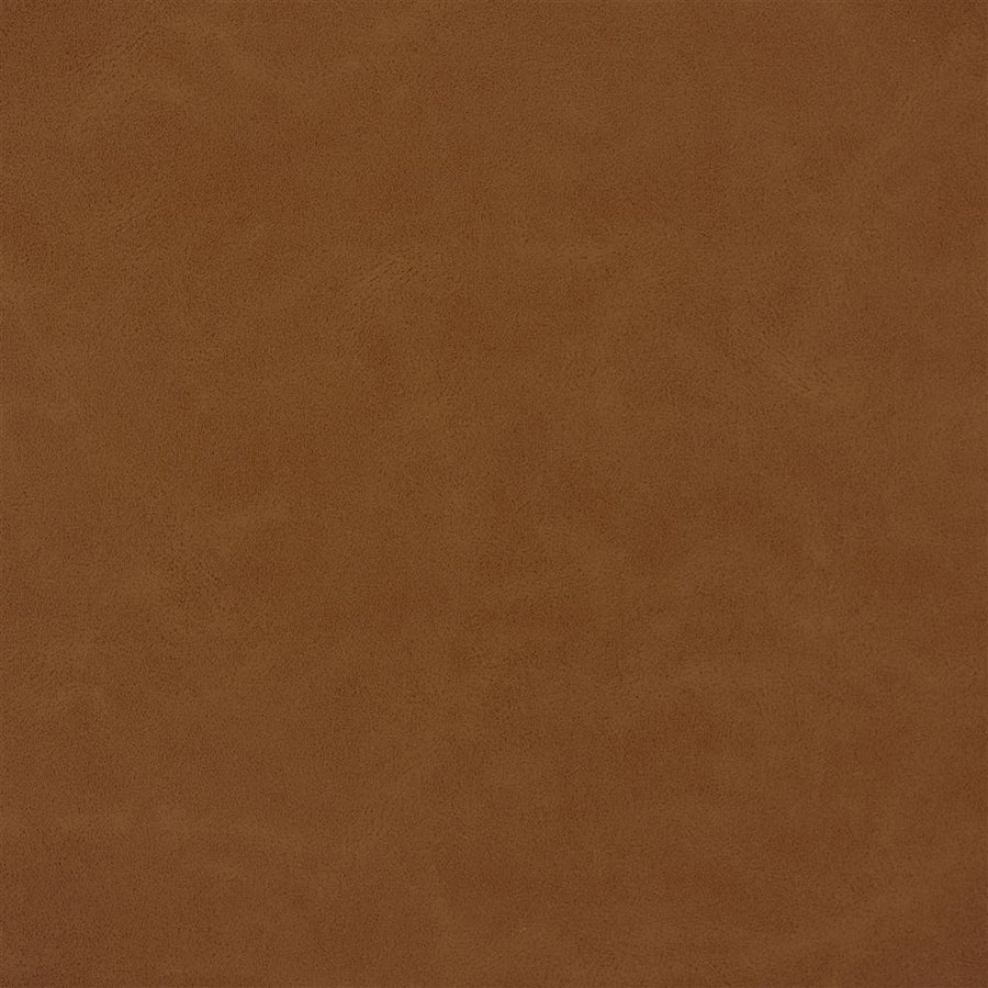 Matara Lucida - Spice