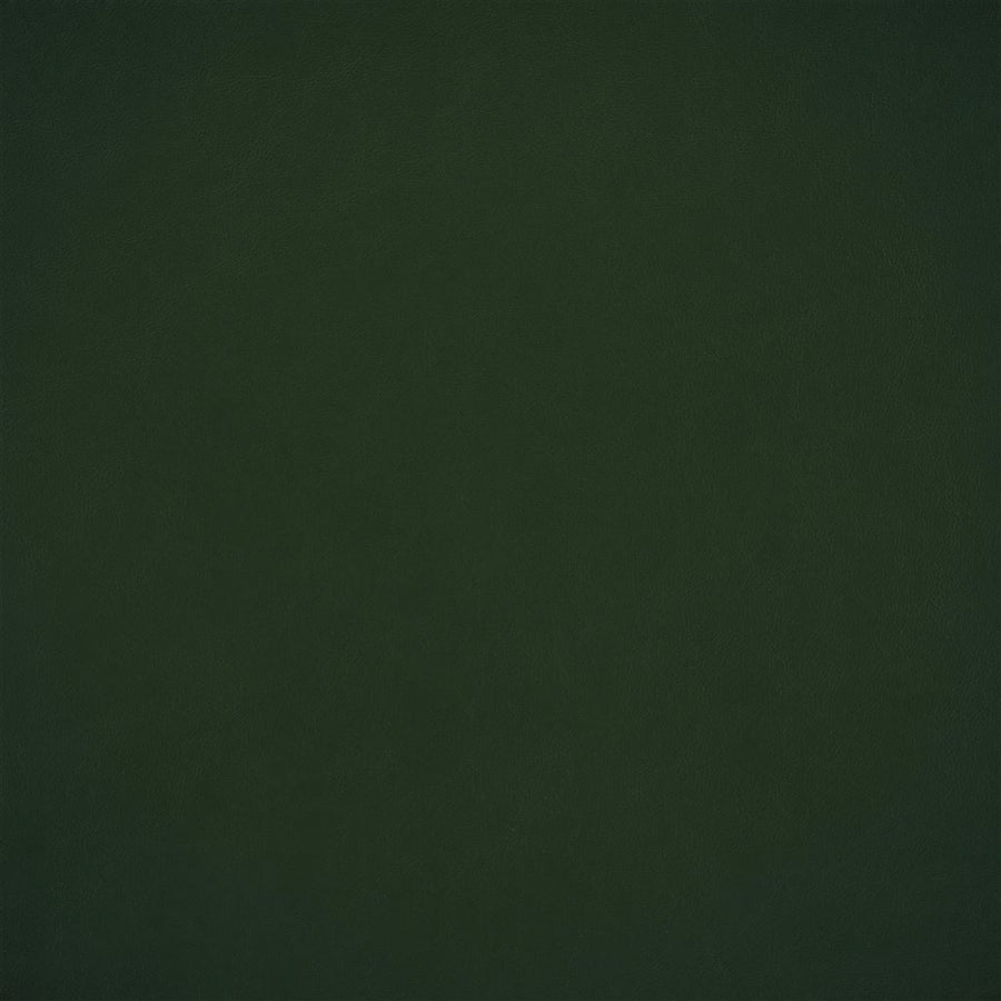 Matara Nappa - Forest