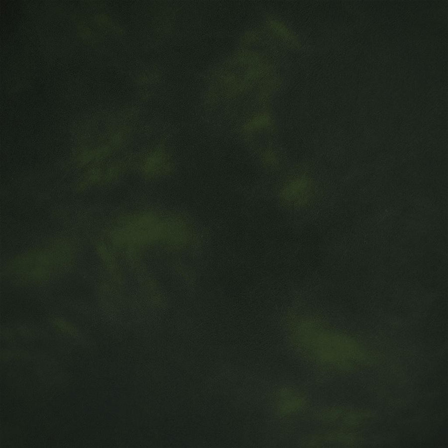 Matara Lucida - Forest