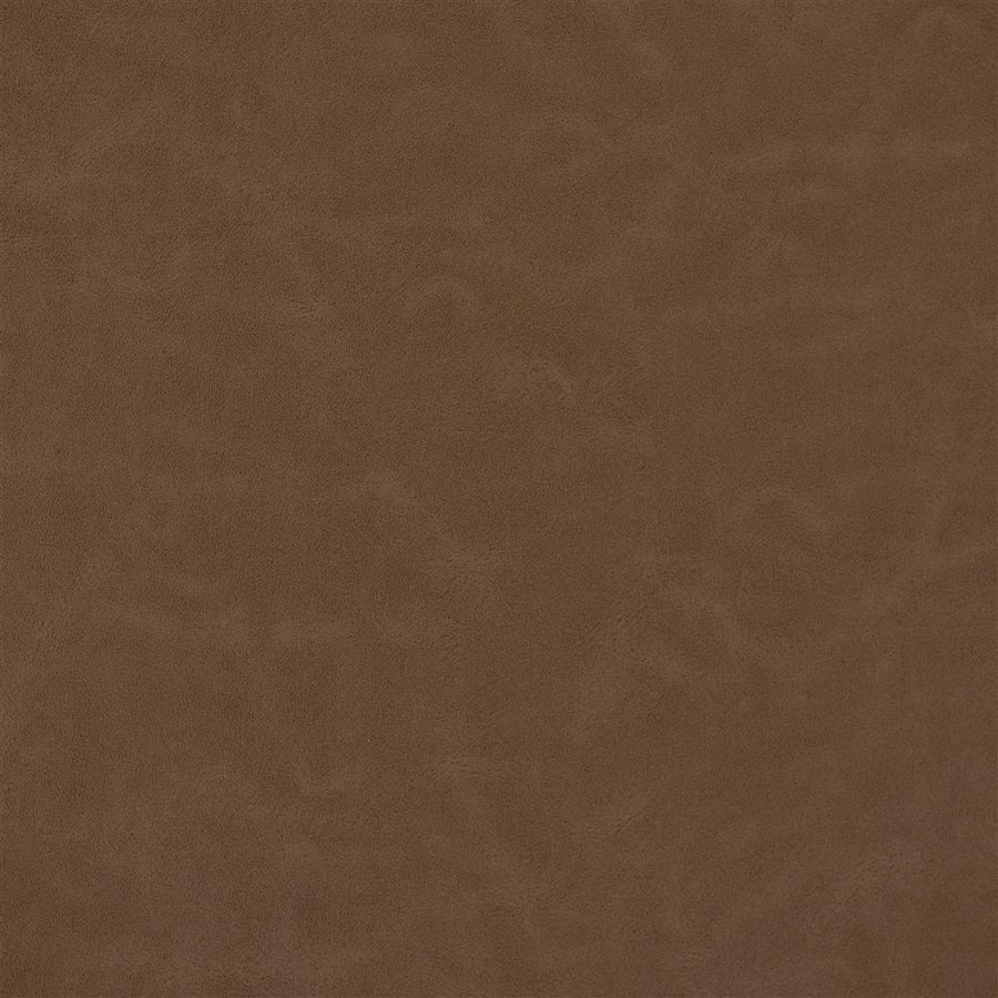 Matara Lucida - Chestnut