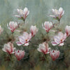 Yulan Magnolia