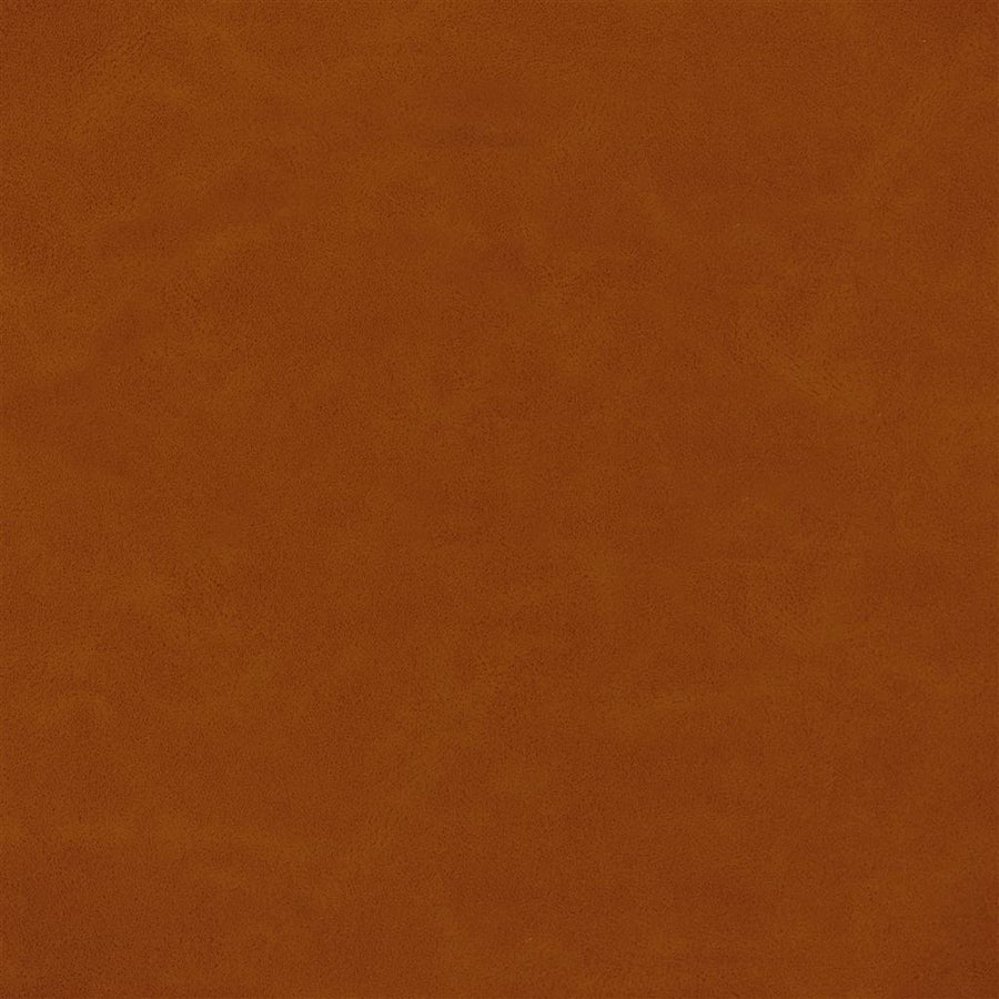 Matara Lucida - Flame