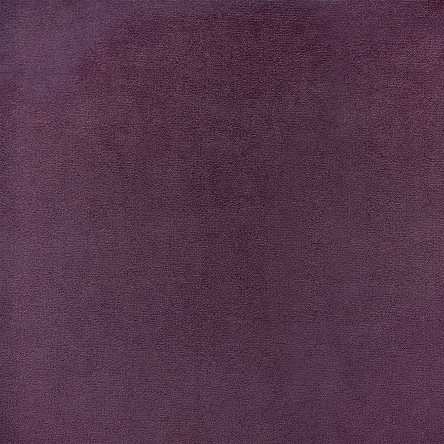 Velluto - Grape