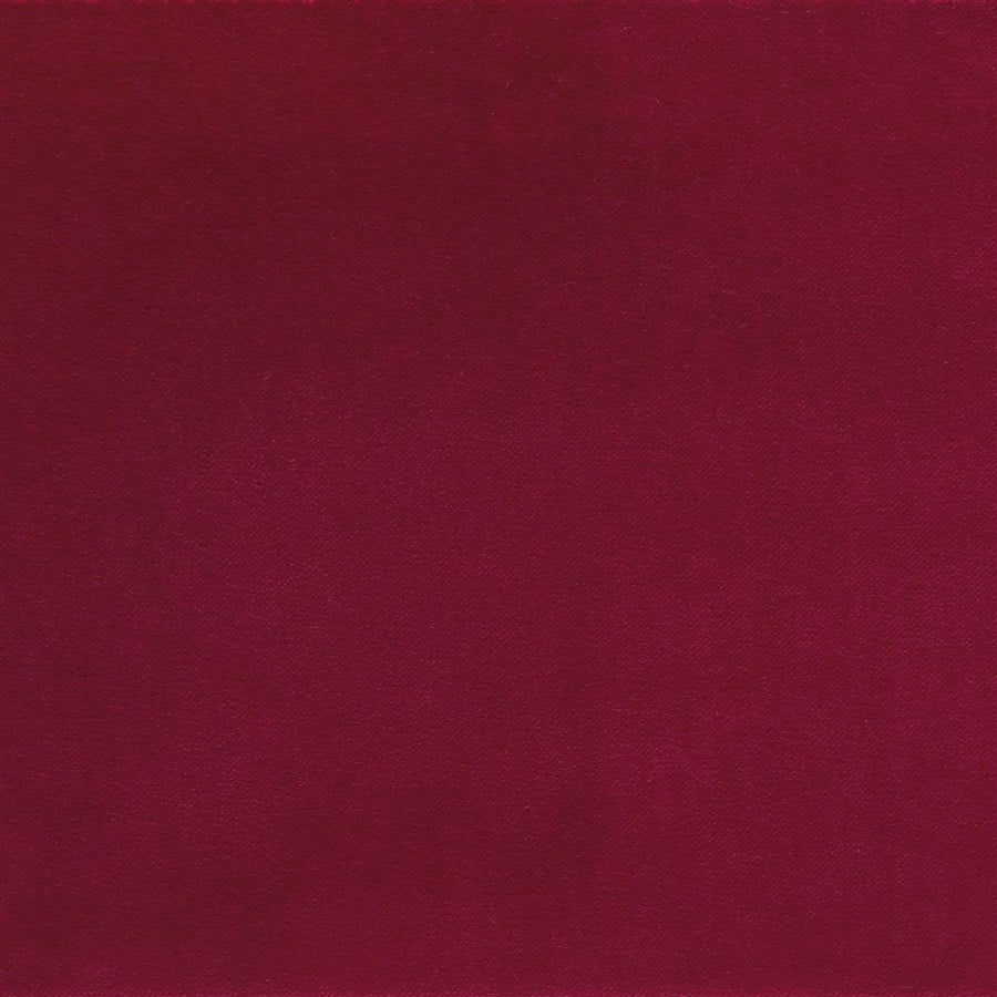 Varese - Chrysanthemum