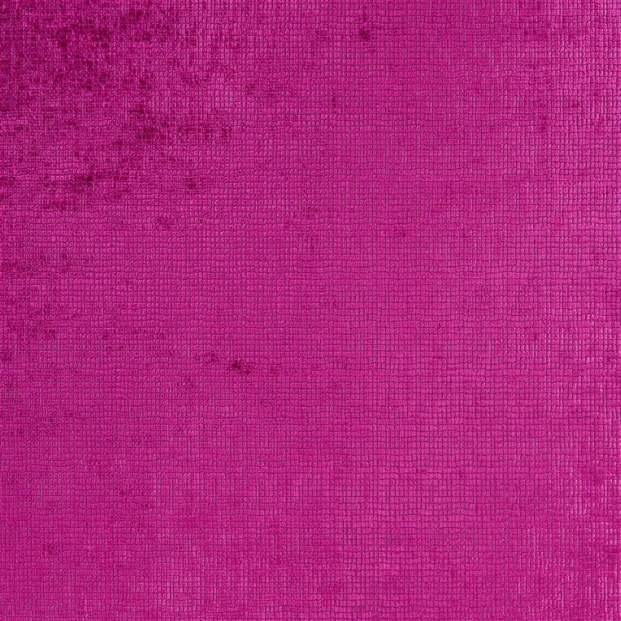 Castellani - Fuchsia