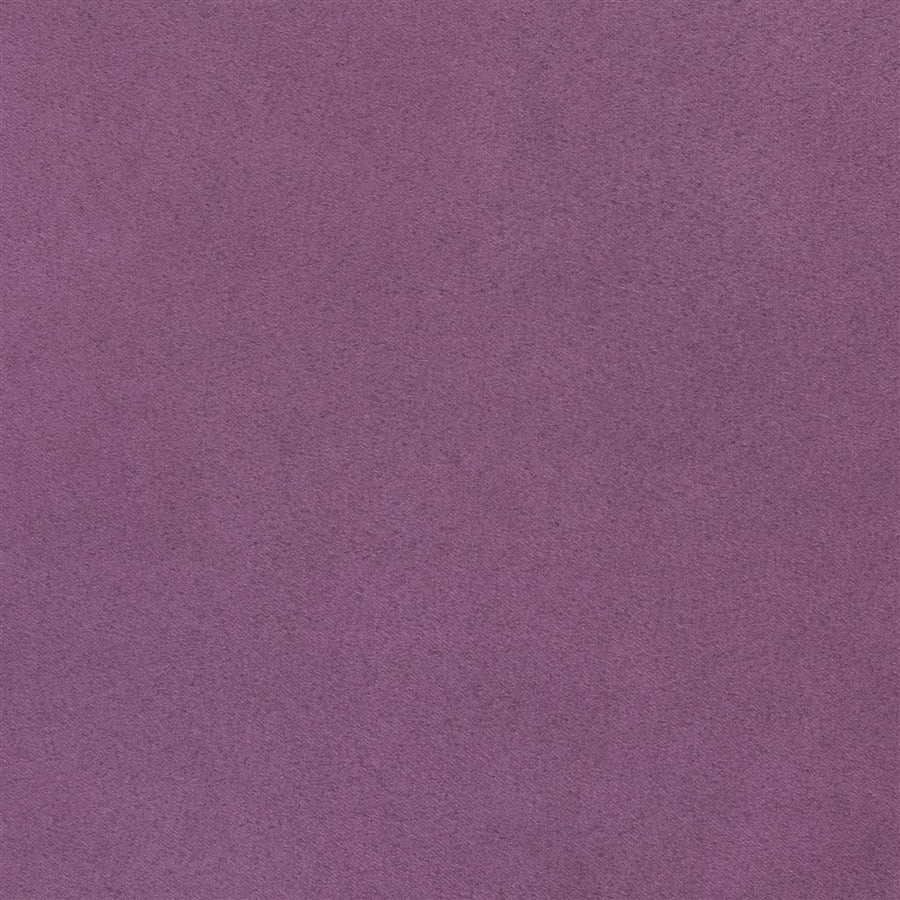 Mezzola Lusso - Viola