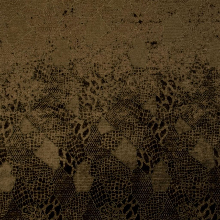 Bernardini - Espresso