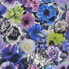 Oriana - Crocus