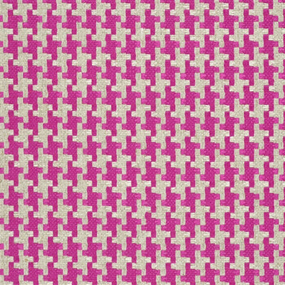 Zeno - Fuchsia
