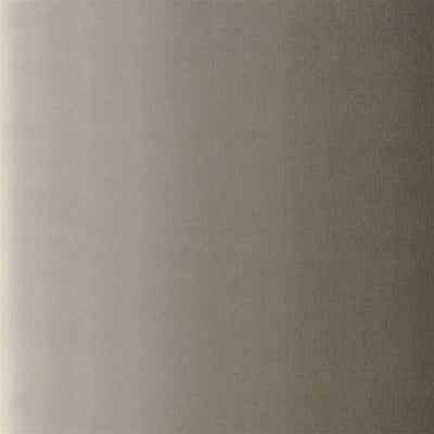 Padua - Cocoa