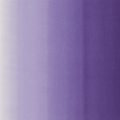 Padua - Crocus