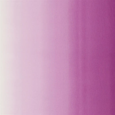 Padua - Magenta