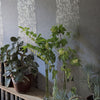 Designers Guild Kalpana - Clover