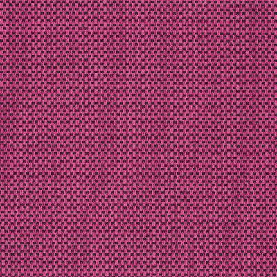 Eton - Fuchsia