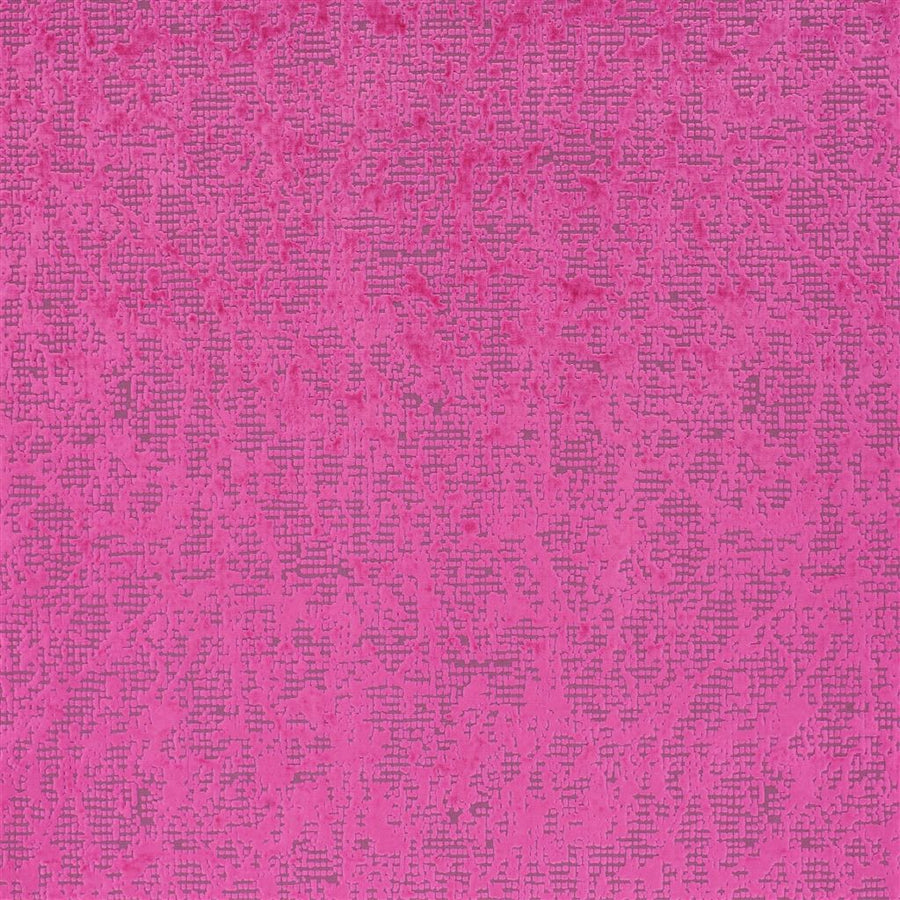 Boratti - Fuchsia