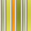 Zetani - Moss
