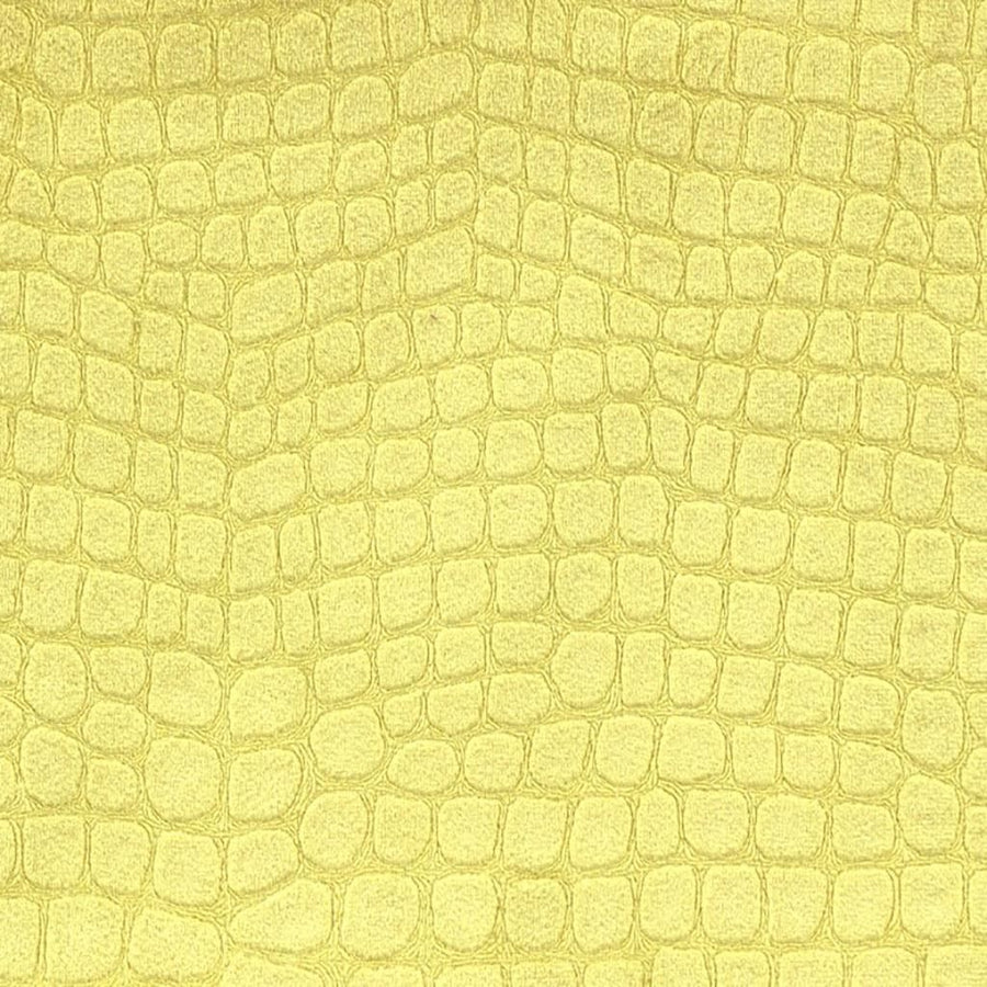 Kalahari - Alchemilla