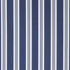 Patio Stripe (f)- Blue