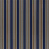 Trailhead Stripe (pm)- Navy/camel