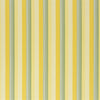 Greenport Stripe (pm)- Yellow/green