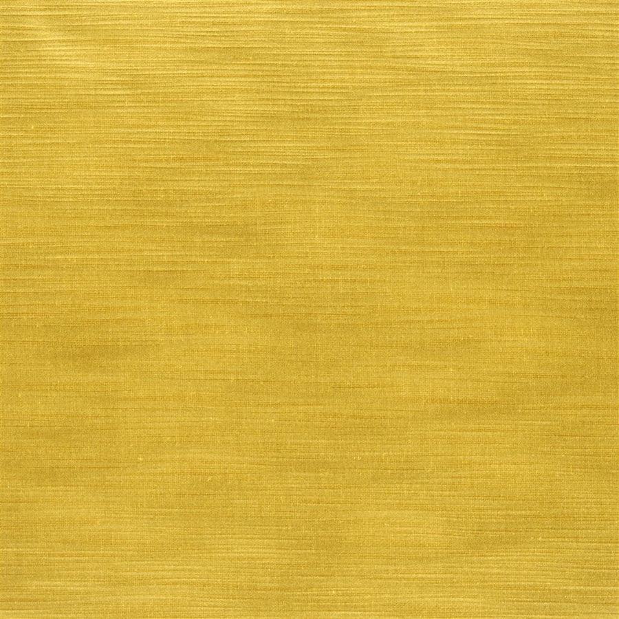 Pampas - Ochre