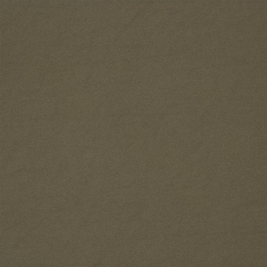 Mezzola Alta - Birch