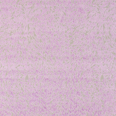 Torlonia - Wisteria
