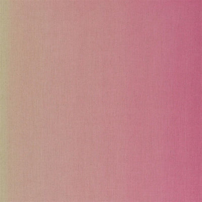 Padua - Blossom