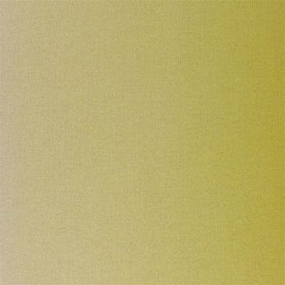 Padua - Mimosa