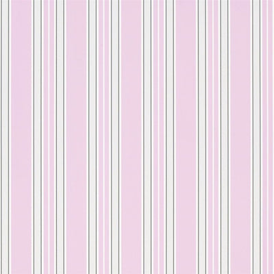 Pinstripe - Peony