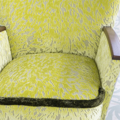 Designers Guild Torlonia - Chartreuse